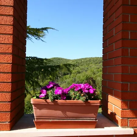 In Above Trasimeno * Magione