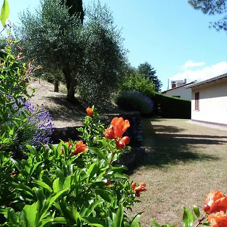 In Above Trasimeno * Magione